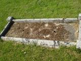 image of grave number 313165